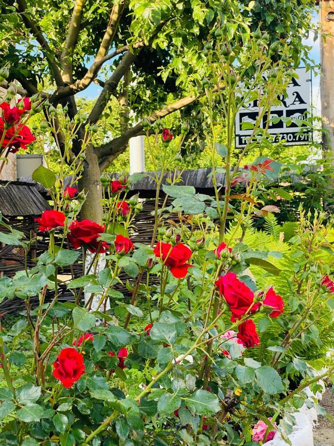 Casa Chira Hotell Vişeu de Sus Exteriör bild