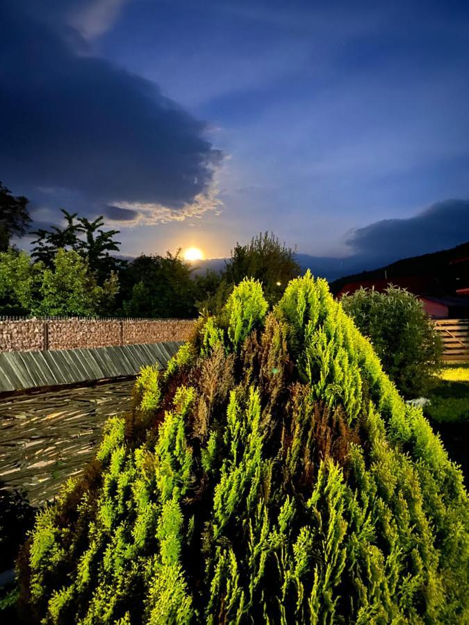 Casa Chira Hotell Vişeu de Sus Exteriör bild