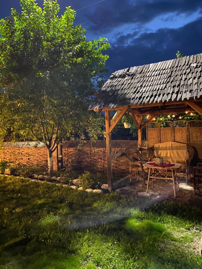 Casa Chira Hotell Vişeu de Sus Exteriör bild