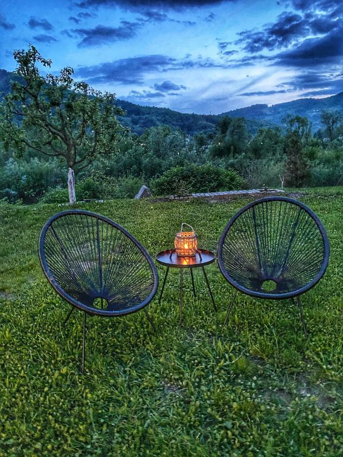Casa Chira Hotell Vişeu de Sus Exteriör bild