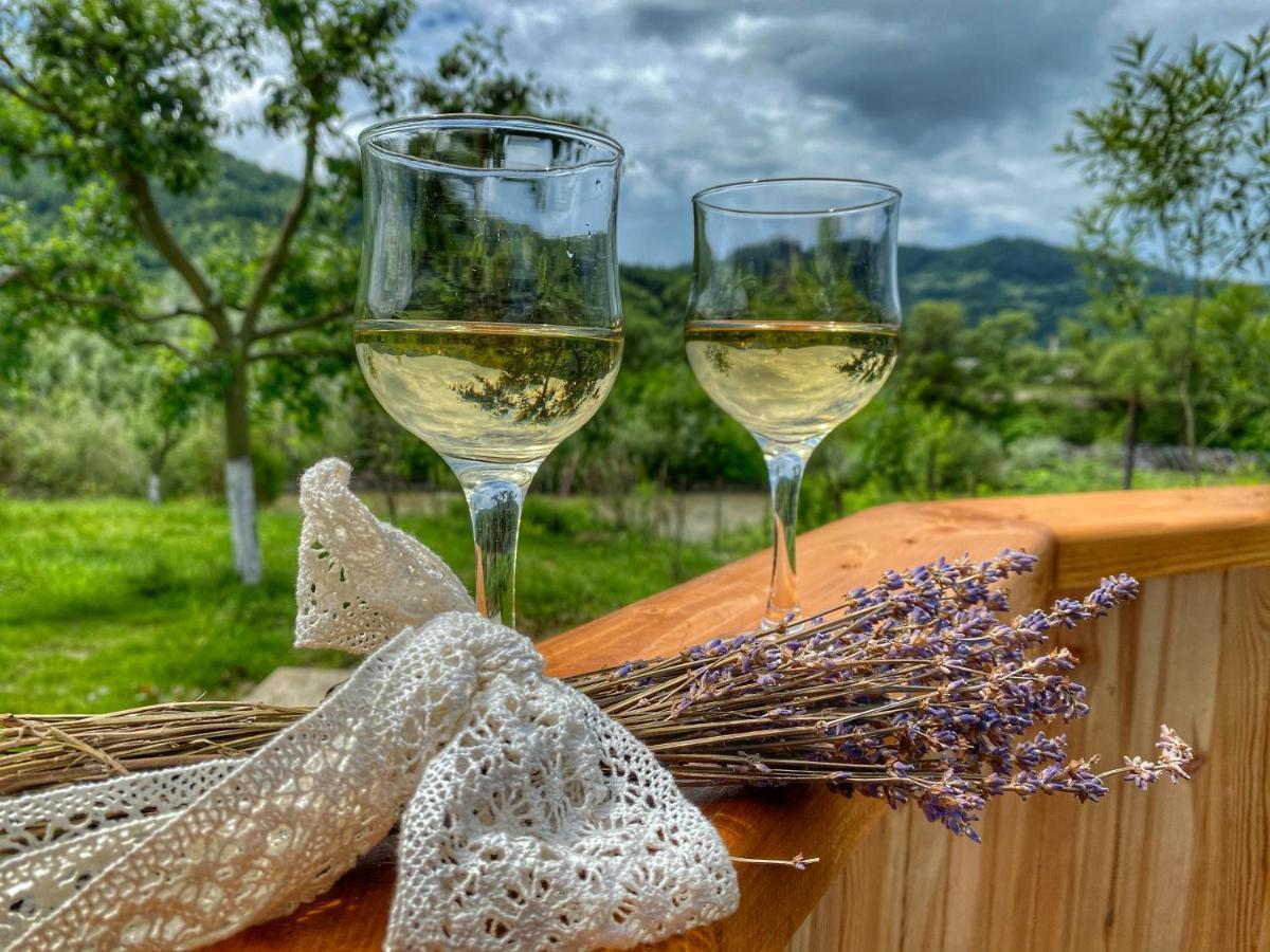 Casa Chira Hotell Vişeu de Sus Exteriör bild