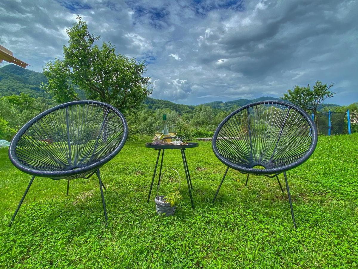 Casa Chira Hotell Vişeu de Sus Exteriör bild