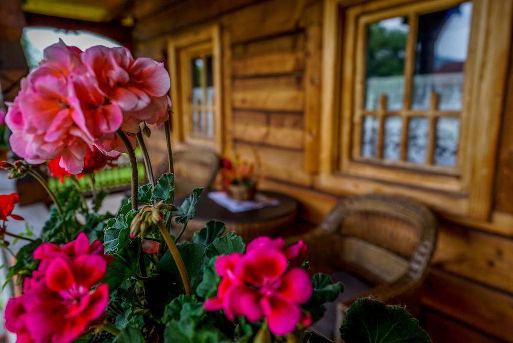 Casa Chira Hotell Vişeu de Sus Exteriör bild