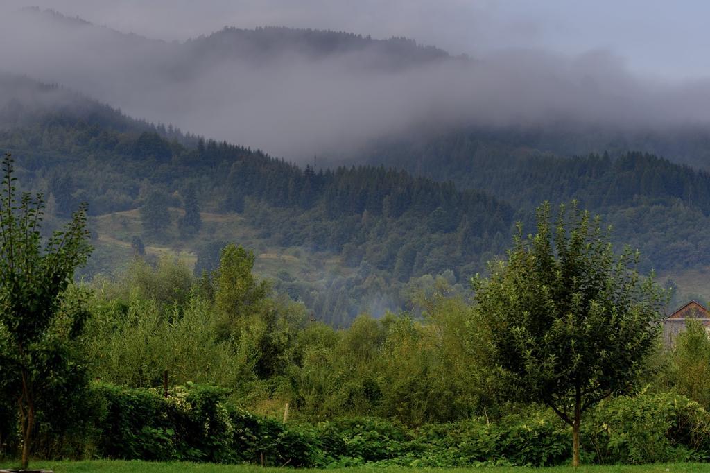Casa Chira Hotell Vişeu de Sus Exteriör bild
