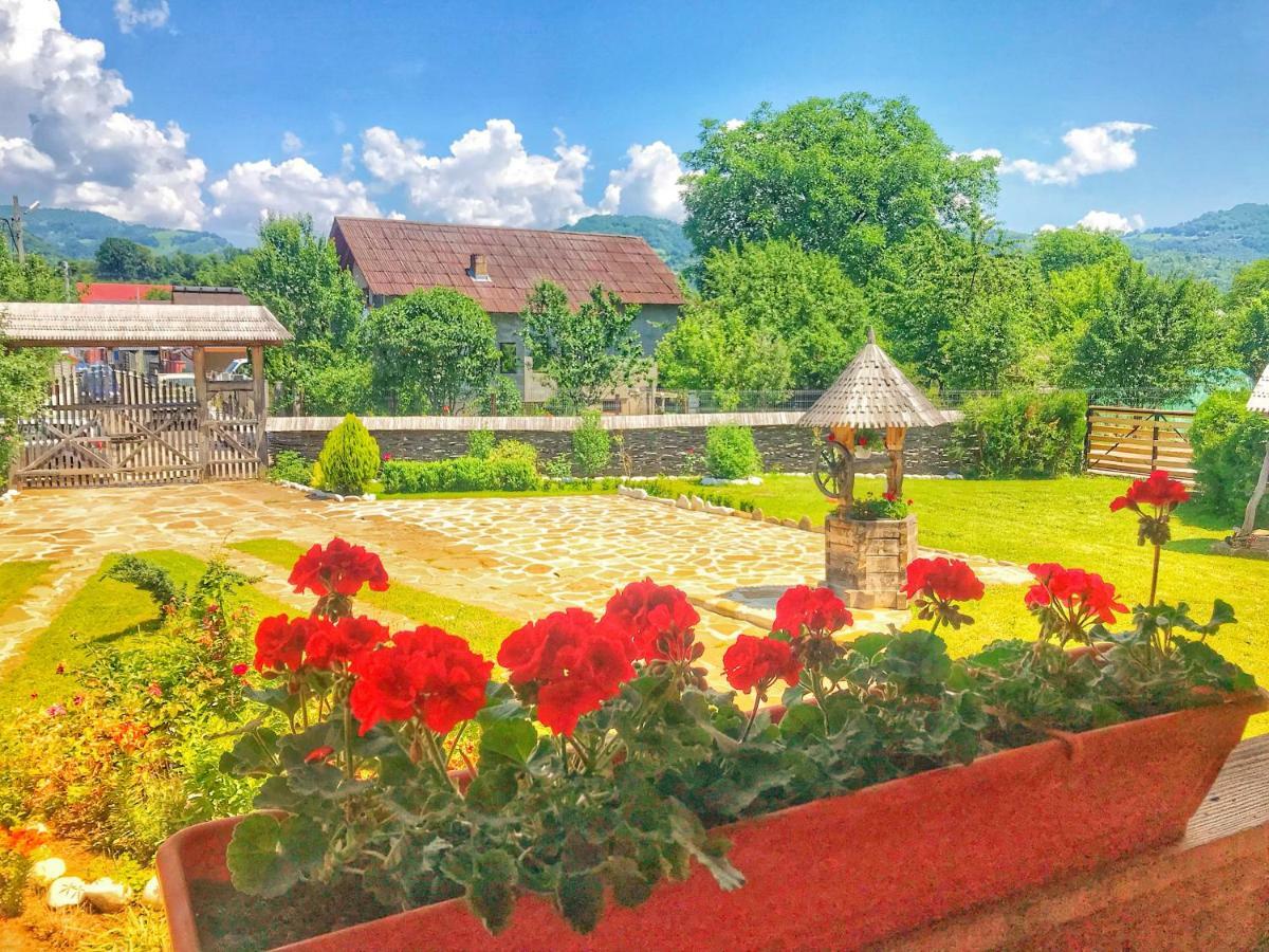Casa Chira Hotell Vişeu de Sus Exteriör bild